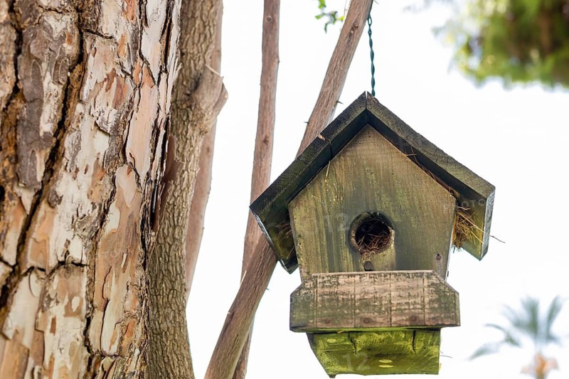 A wooden birdhouse hanging from a tree branch. The birdhouse is green with a slanted roof. The background features blue sky and green foliage