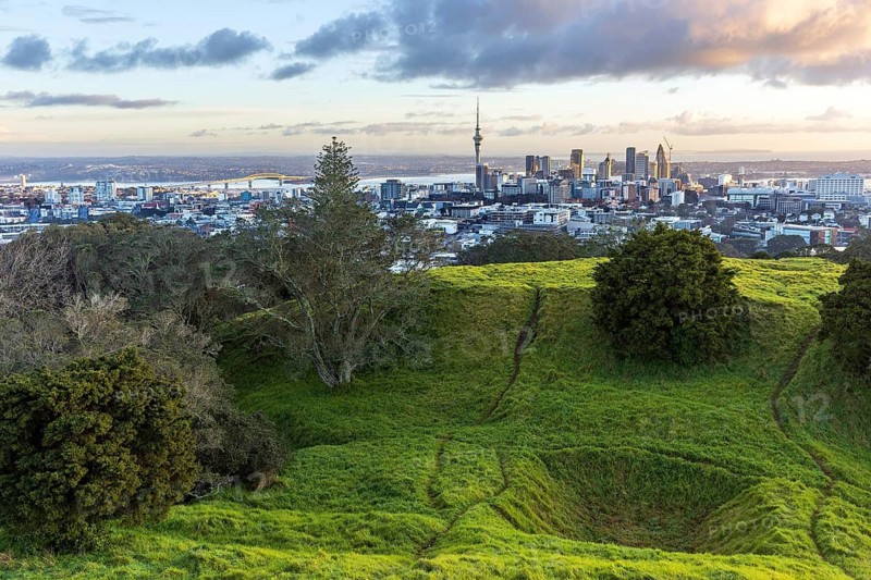 Trees and walking tracks on the rim of the Mount Eden volcanic crater overlooking Auckland city, New Zealand