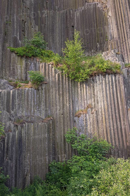 Panska skala, (Mansion/Manor Rock) also called the Varhany (Organ) is an unobtrusive hillock close to Prachen, Bohemia, Czech Republic