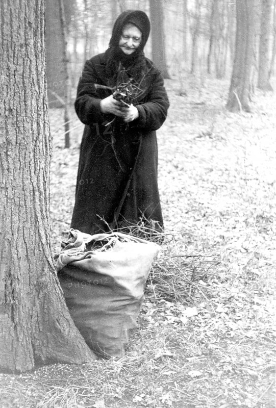 Old woman collecting wood, firewood, emergency, post-war period, ca. 1945/1946, historical, Leipzig, Germany