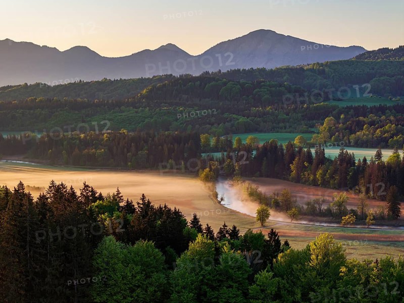 Aerial view, trees, forest, meadow, light green leaves, morning light, fog, mountains, sunny, backlight, spring, near Murnau, Alpine foothills, Bavaria, Germany