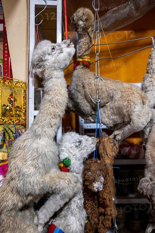 Dried llama fetuses, The Witches Market, La Paz, Bolivia