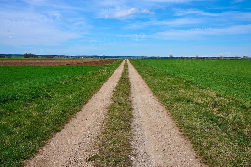 A long dirt road runs between two green fields under a blue sky with few clouds, Triesdorf, Weidenbach, Franconian Lake District, Ansbach District, Middle Franconia, Bavaria, Germany