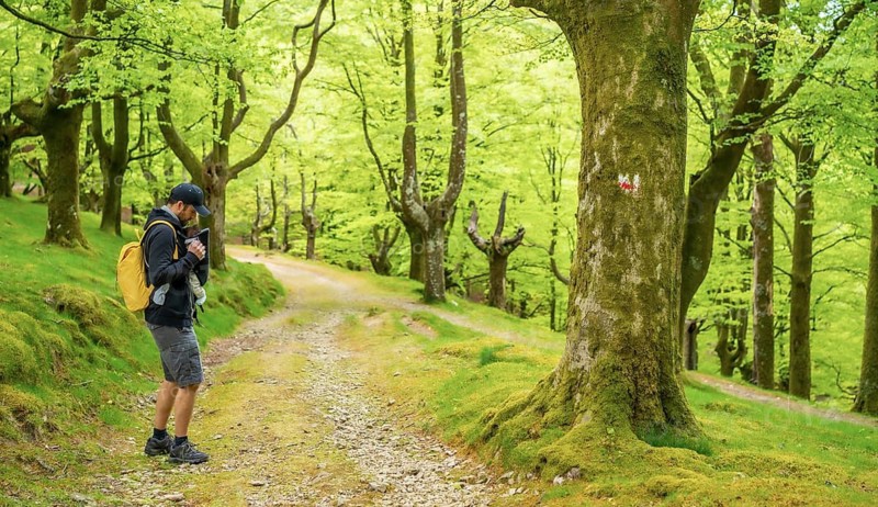A young father walking with the newborn child in the backpack on a path in the woods heading to the picnic with the family