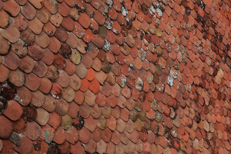 Old roof covering, beaver tail-shaped tiles, partly already weathered or with growth of lichens and mosses