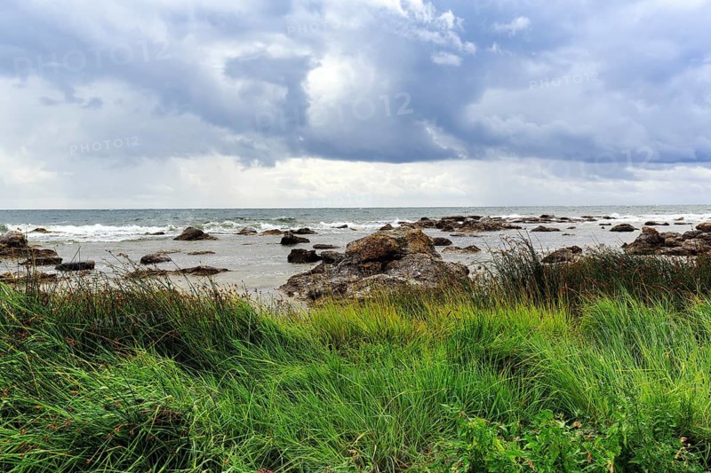 Characteristic coastal landscape, wild natural beach, boulders and grasses in summer, dramatic cloudy sky, Holmudden, Fårö island, Gotland, Baltic Sea, Sweden