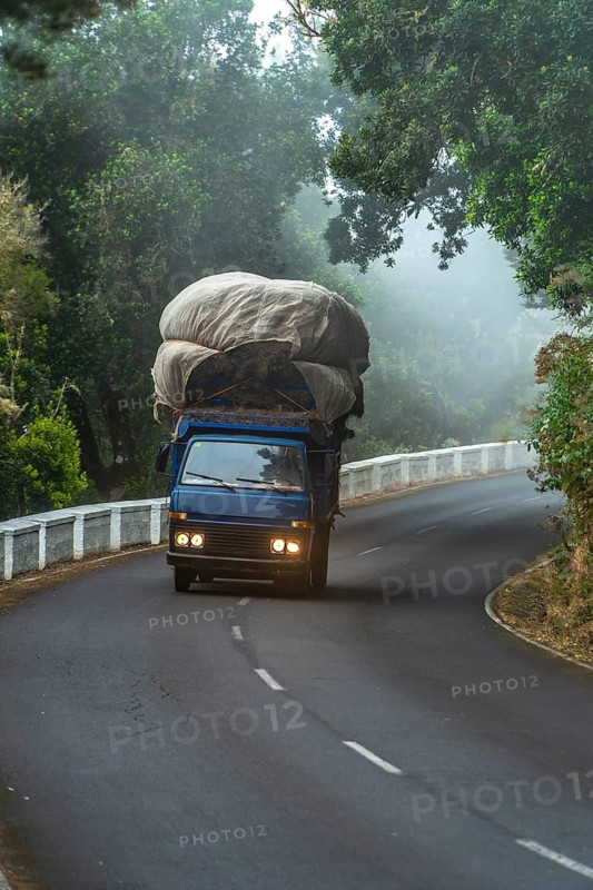 Blue truck carrying a large, canvas covered load of cargo along a winding road through a misty, dense forest, navigating the humid conditions of the el hierro island landscape