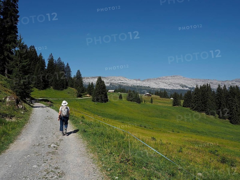 A person hikes a trail along a green meadow landscape with mountain views of Karst Mountains, UNESCO Entlebuch Biosphere, Switzerland