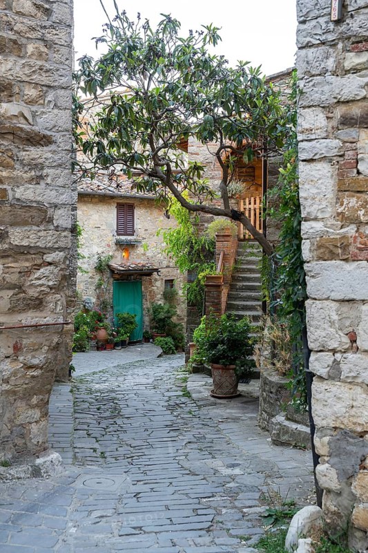View of a little Street in the little wine town of Montefioralle, Chianti, Florence, Firenze, Tuscany, Italy