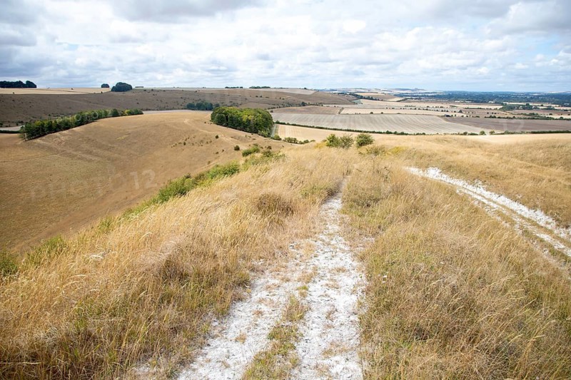 View west of chalk scenery along chalk scarp slope, Milton Hill, Milton Lilbourne, Wiltshire, England, UK