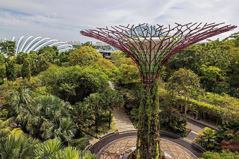 Giant Solar-Powering environmentally sustainable with photovoltaic cells, man-made Supertrees at Gardens by the Bay, Singapore