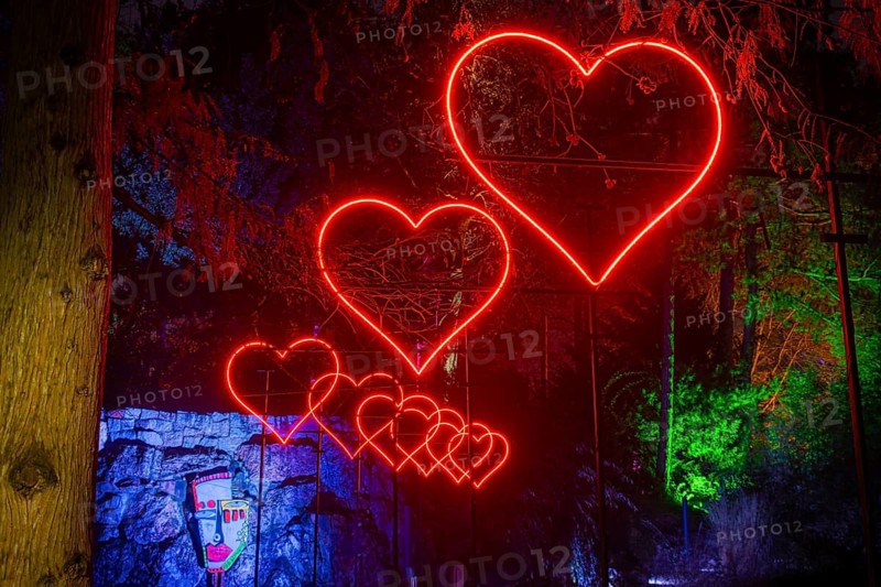 From 9 December 2023 to 14 January 2024, the Palmengarten in Frankfurt am Main will host the Winter Lights for the 11th time. A total of 25 light installations await visitors along a circular route, Palmengarten, Frankfurt am Main, Hesse, Germany