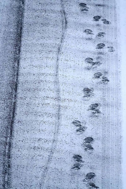 Slipperiness due to ice and snow, symbolic image, winter, Germany