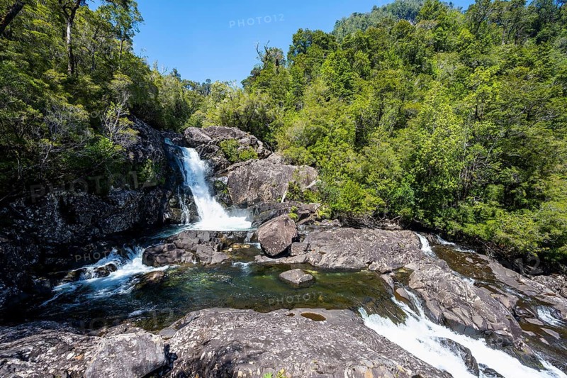 Salto Chaicas waterfall on Rio Chaicas, stream flowing through temperate rainforest, Parque Nacional Alerce Andino, Llanquihue, Los Lagos, Chile