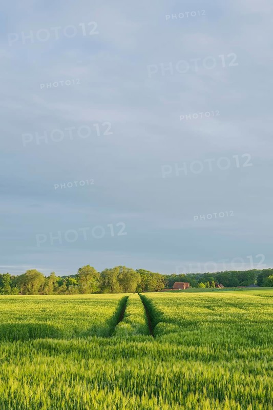 Bad Rehburg, Nienburg Weser, Lower Saxony