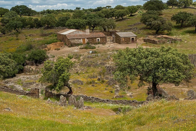 Countries, Dehesa, Extremadura, cultural landscape, landscape, countries, travel, Spain, travels