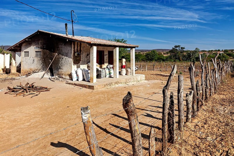 A small house in a dry landscape with a simple wooden fence in the foreground, a cassava mill in the Caatinga of Bahia and Pernambuco in Brazil