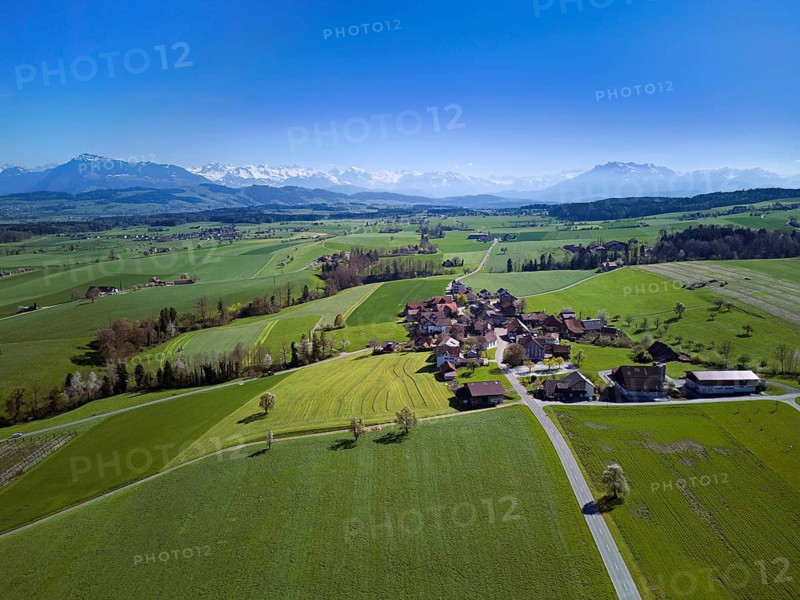 View of the hamlet of Alikon, with the Alps with the Rigi and Pilatus in the back, Sins, Freiamt, Aargau Canton, Switzerland