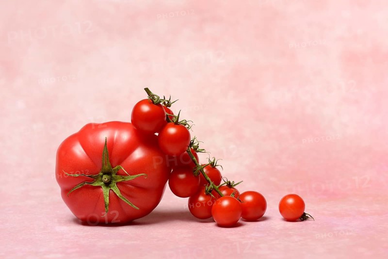 Beef tomato and cherry vine tomatoes with pink background
