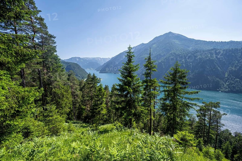 View of Lake Achensee with summit Seekarspitze and NAdelwald, Unnütz crossing, Brandenberg Alps, Tyrol, Austria