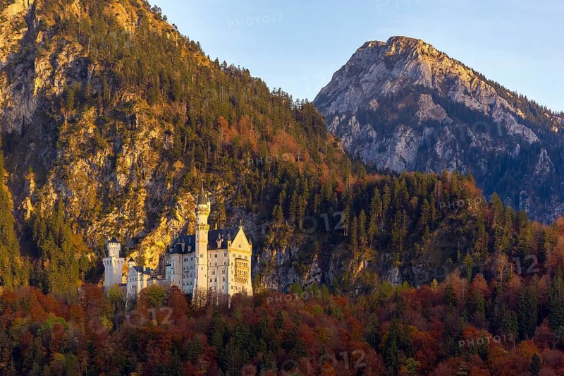 A castle in the middle of the Bavarian Alps, surrounded by autumnal forests and illuminated by the sunset, Neuschwanstein, Schwangau, Ostallgäu, Allgäu, Swabia, Upper Bavaria, Bavaria, Germany