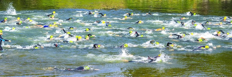 Swimmer, Triathlon, Danube, Ulm, Swabia, Baden-Württemberg, Germany