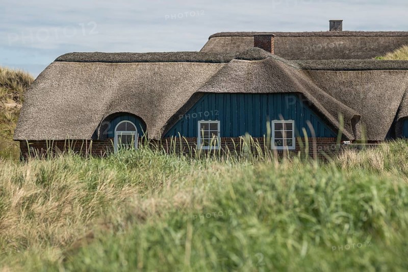 Traditional houses with thatched roofs behind a dune covered with beach oats, Houvig, North Sea, Denmark
