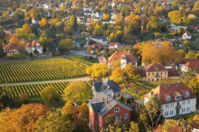 The Hoflößnitz winery surrounded by the Oberlößnitz vineyards, Radebeul, Saxony, Germany