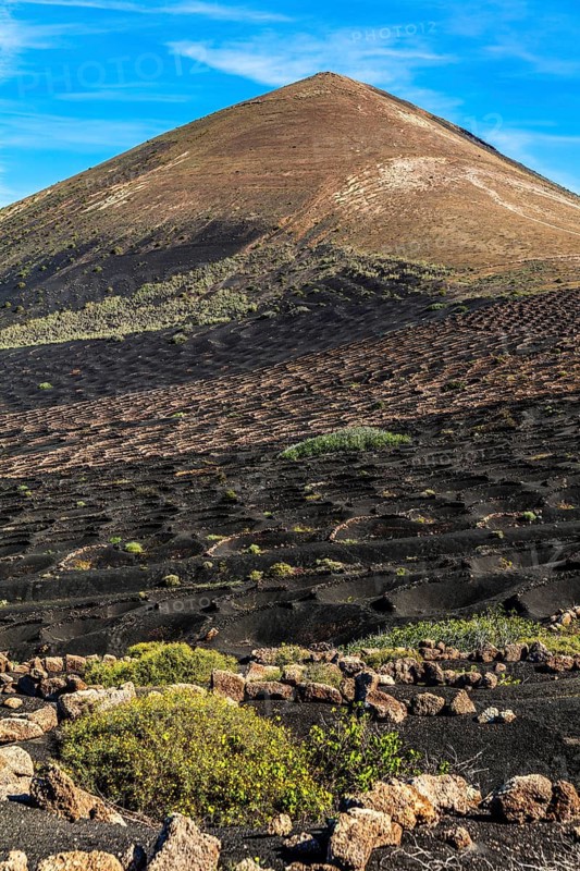 La Geria wine-growing region and work of art, UNESCO World Heritage Site, Lanzarote, Canary Islands, Spain