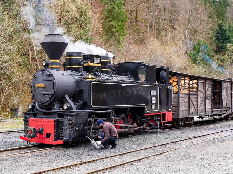 Man waiting for the steam locomotive of the Mocani?a water valley railway, Viseu de Sus, Maramure?, Romania
