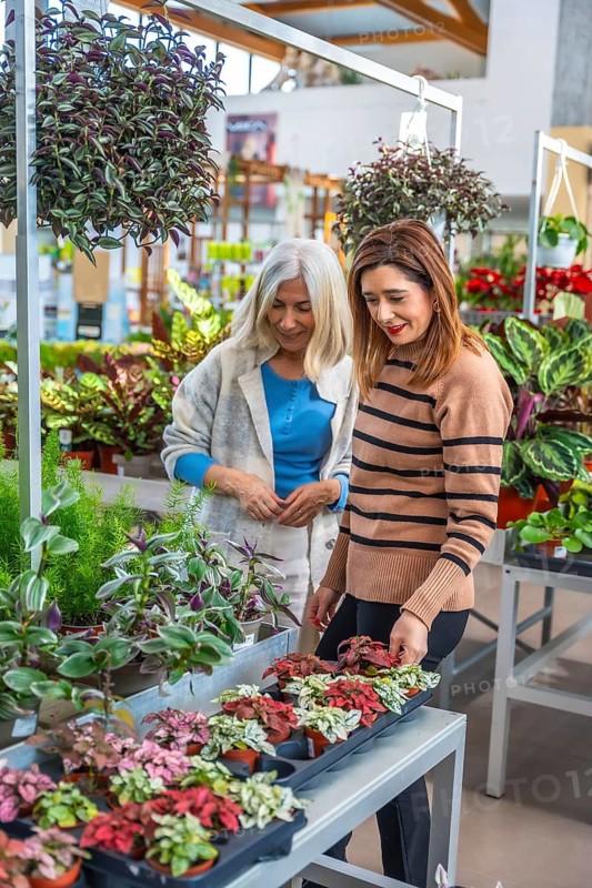 Two women browse potted plants in a bright garden center, smiling and choosing greenery for home and garden while enjoying leisure time and friendly conversation