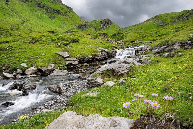 Bergbach Sousbach flows through picturesque green mountain landscape with flower meadow, long exposure, Bernese Alps, Bernese Oberland, Switzerland