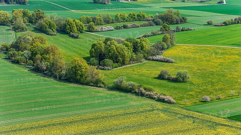Cultural landscape of the Swabian Jura in spring. Agricultural areas are bordered by hedges. Merklingen, Baden-Württemberg, Germany