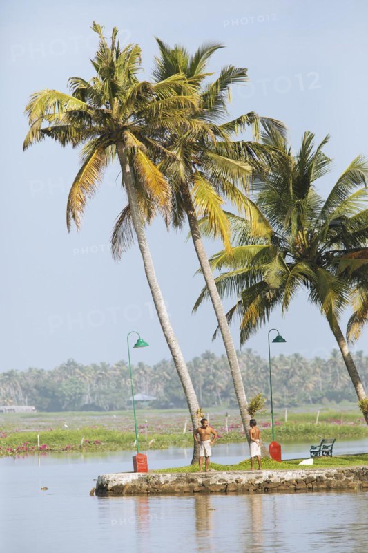Indian men and palm trees on the shore of Lake Vembanad, canal system of the backwaters, Kerala, India