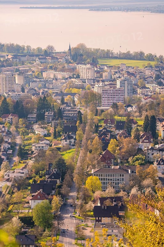 Panorama of a city with a view of the lake and a church, Bregenz, Austria