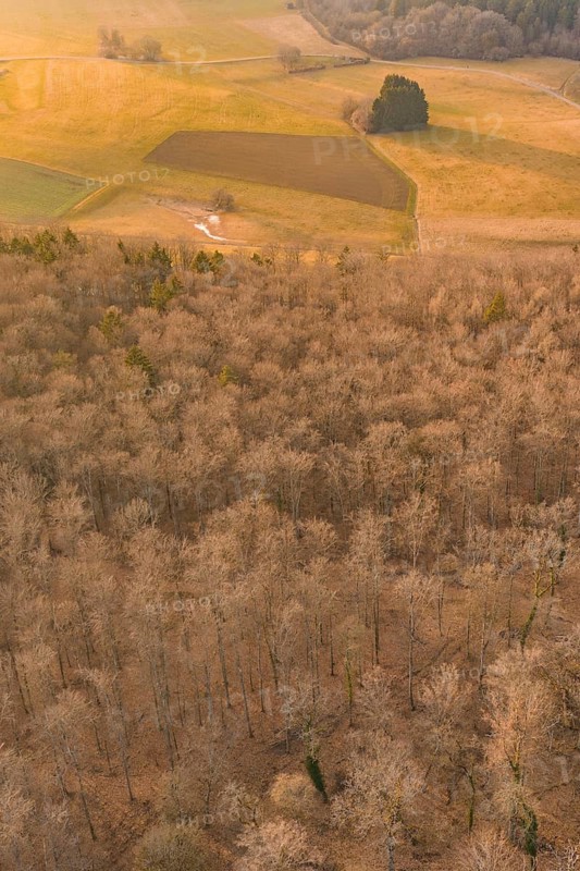 Warm autumn landscape with forest and fields seen from the air, forest pasture compensation project of the Hermann Hessebahn, Gechingen district of Calw, Germany