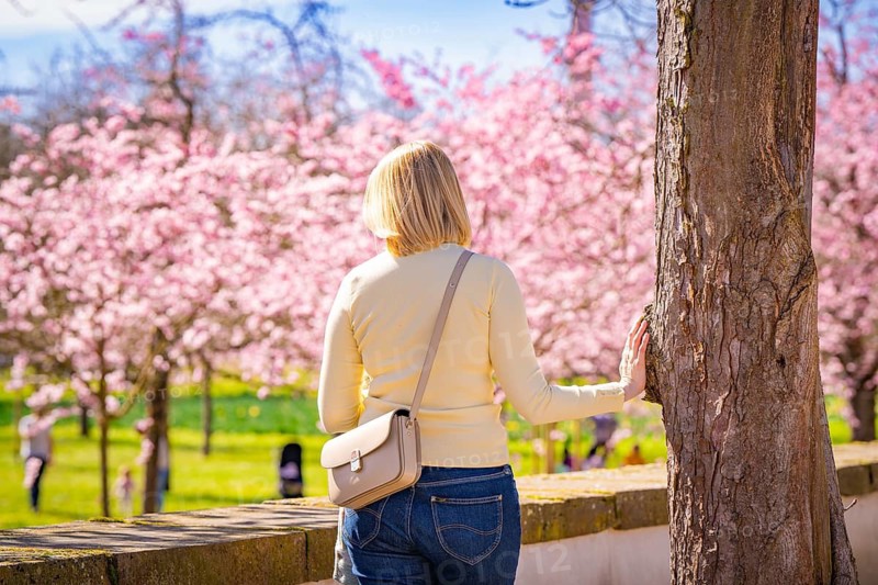 Woman leaning thoughtfully against a tree trunk, cherry blossoms in the background, cherry blossom garden, Schwetzingen Palace, Germany