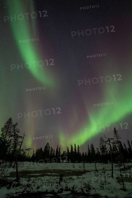 Northern Lights (Aurora borealis), Muddus National Park, Laponia World Heritage Site, Norrbotten, Lapland, Sweden, October 2024