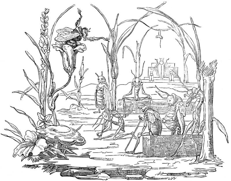 Pious grasshoppers listen to the sermon in church, parable about human life, depicted in caricatures of the grasshopper, parody, literary narrative in pictures with morals, mockery and derision, woodcut illustration, Swiss calendar for 1848