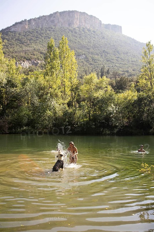 A woman playing with her dog in the sparkling waters of a serene lake during a sunny summer day. Lush greenery and cliffs provide a natural backdrop, enhancing the peaceful outdoor setting