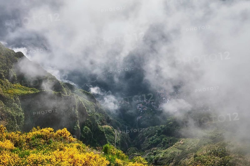 Aerial drone view of Curral das Freiras village from Miradouros do Paredao with blooming yellow Cytisus shrubs, Madeira island, Portugal
