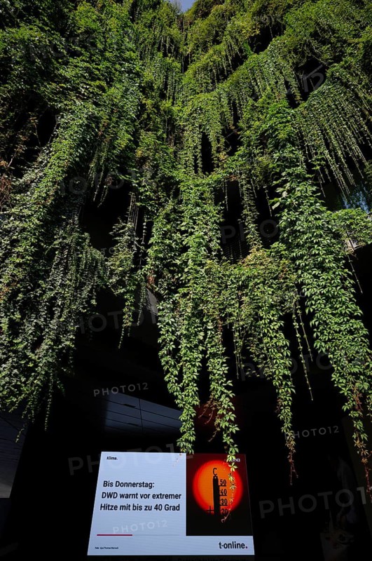 T-online information monitor, information monitor, screen, danger, hazard message, extreme heat, heat wave, thermometer in the sun, 40 degrees Celsius, climate change, temperature, above climate-neutral façade greening, office building of the company CMS Hasche Sigle, Calwer Straße, Rotebühlplatz, Stuttgart, Baden-Württemberg, Germany