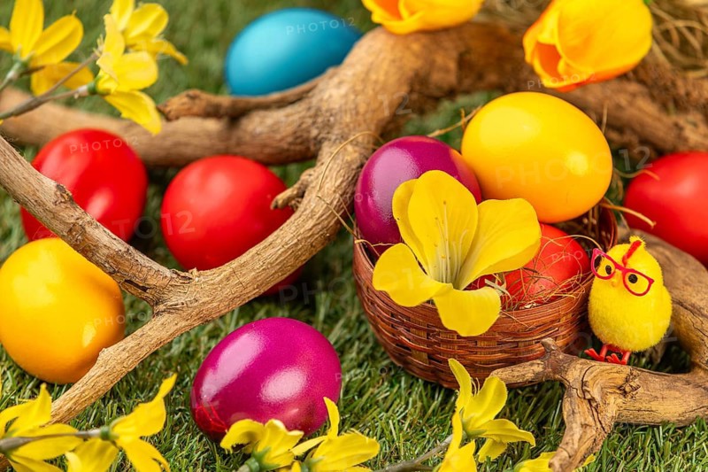 Colourful Easter eggs in and around a small basket, branches and blossoms on grass
