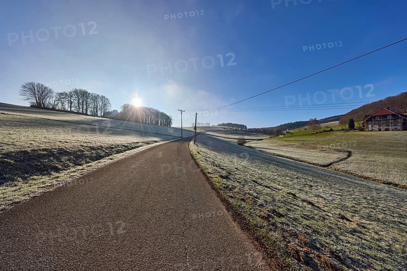 Hilly landscape with meadow, forest and trees, blue sky, backlight of the sun, Breitebene road, Hofstetten, Black Forest, Ortenaukreis, Baden-Württemberg, Germany