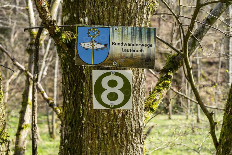 Signs for circular hiking trails Lauterach and 8 on a tree, hiking area near Lauterach, Munderkingen, Swabian Alb, Baden-Württemberg, Germany