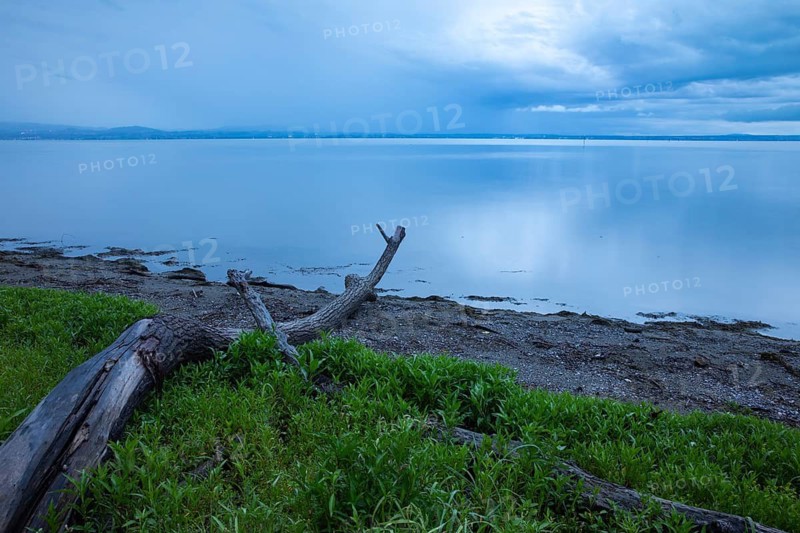 Blue hour at Lake Constance, clouds, water, shore, dead wood, summer, Langenargen, Baden-Württemberg, Germany