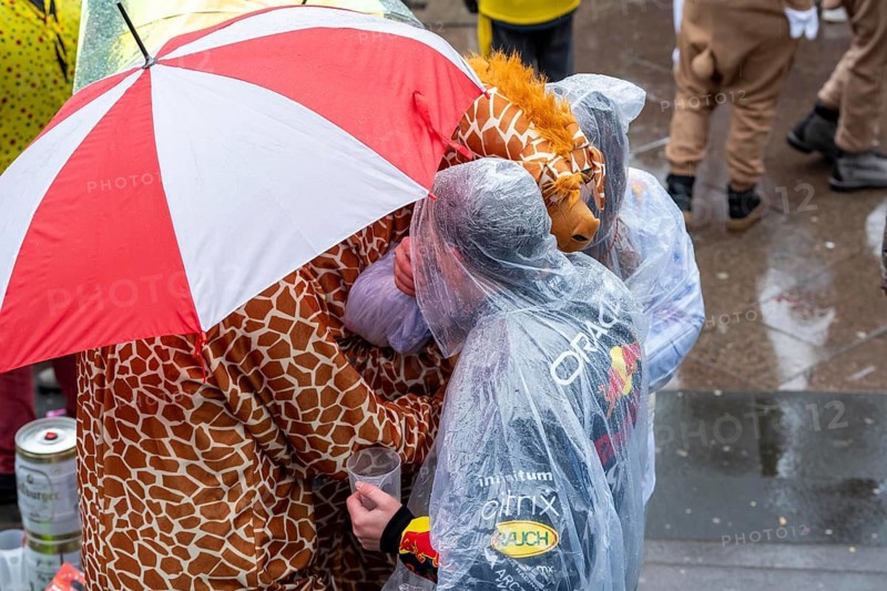 Rose Monday procession in Düsseldorf, parade costume, giraffes with umbrella North Rhine-Westphalia, Germany