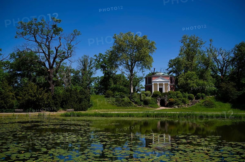 Pantheon, Water Lilies, Wörlitzer See, Wörlitzer Park, Wörlitzer Anlagen, Wörlitz, Oranienbaum, Saxony-Anhalt, Germany