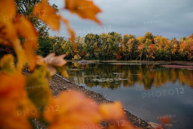 Vibrant autumn leaves frame a tranquil lake scene in Quebec, Canada. The rich colors of fall, with shades of orange, yellow, and red, reflect beautifully on the calm water