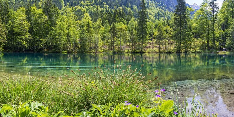 Christlessee, a mountain lake in the Trettachtal valley, near Oberstdorf, Oberallgäu, Allgäu, Bavaria, Germany